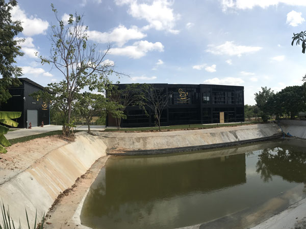 ภายในบริเวณ บริษัทช้างทองคำ