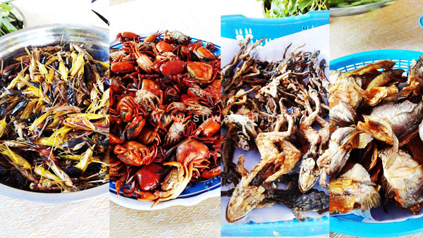 อาหารพื้นถิ่นอีสาน(ตั๊กแตน ปูนา เขียด ปลาหมอ