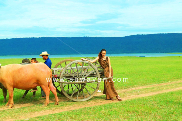 หมู่บ้านอนุรักษ์ควายไทย