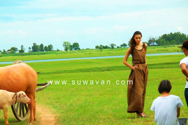 หมู่บ้านอนุรักษ์ควายไทย