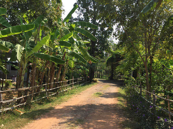 สวนเกษตรมีกิน