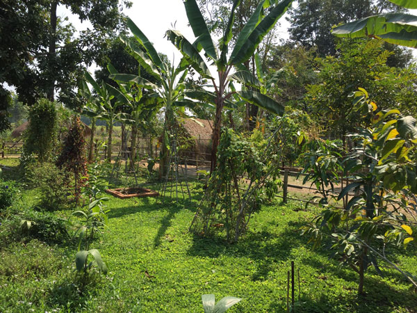 สวนเกษตรมีกิน